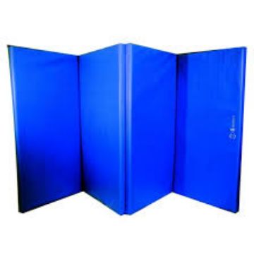 Show details for Tumbling Mats - 4' X 8' X 1” Picture of Tumbling Mats - 4' X 8' X 1”