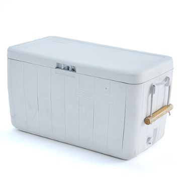 Show details for Cooler - Medium / No Wheels Picture of Cooler - Medium / No Wheels