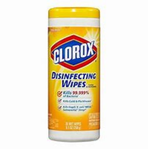 Picture of Clorox Wipes - Small