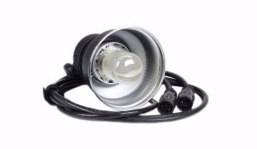 Show details for Profoto Pro Twin Head Bi Tube Picture of Profoto Pro Twin Head Bi Tube