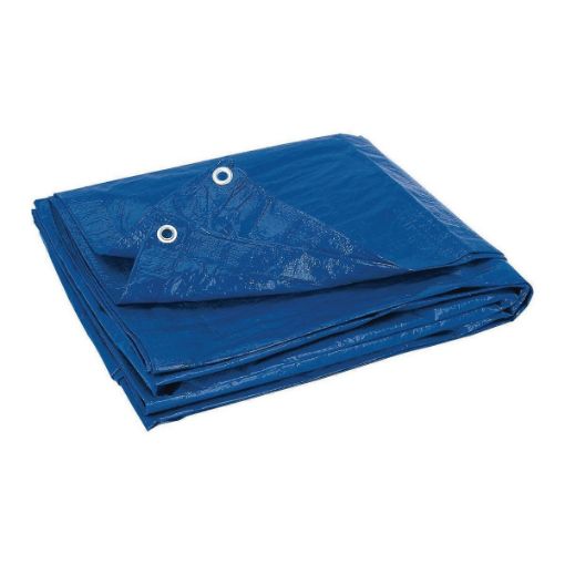 Picture of Blue Tarp 10 x 12