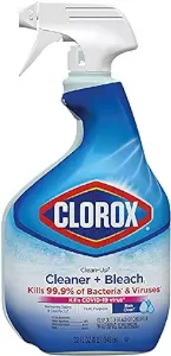 Picture of Clorox Spray
