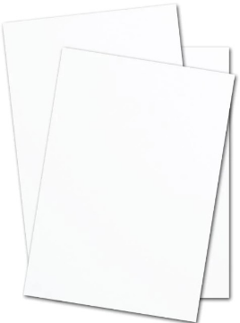 Show details for Show Card - White/White Picture of Show Card - White/White