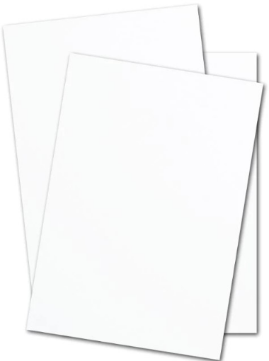 Picture of Show Card - White/White