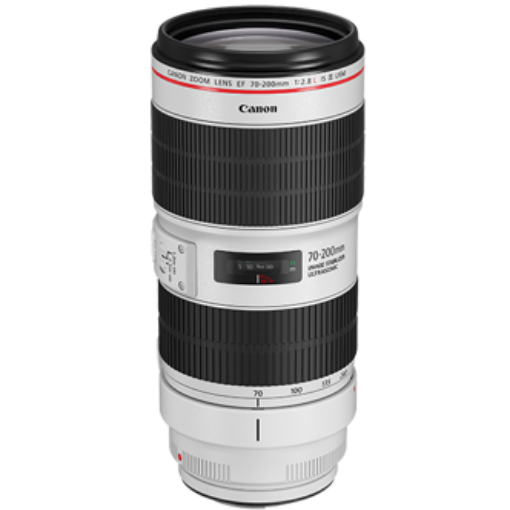 Picture of Lens - Canon EF 70-200mm F2.8L