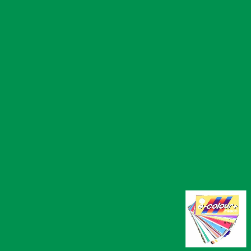 Picture of Gel Sheet - Rosco e-Colour/Lee - 124 Dark Green